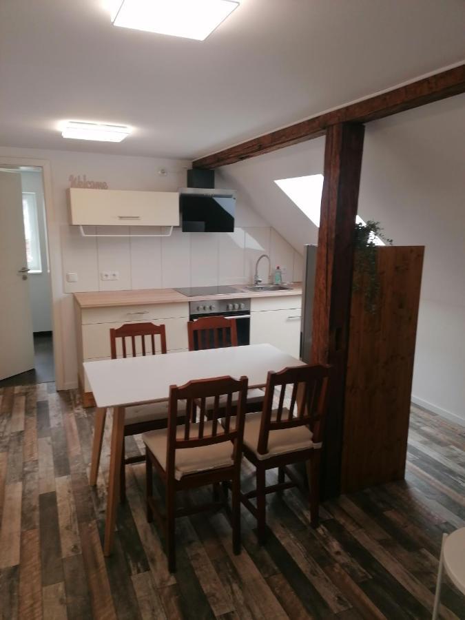 Ferienwohnung IV Sarrebriese Wanzleben-Borde Εξωτερικό φωτογραφία