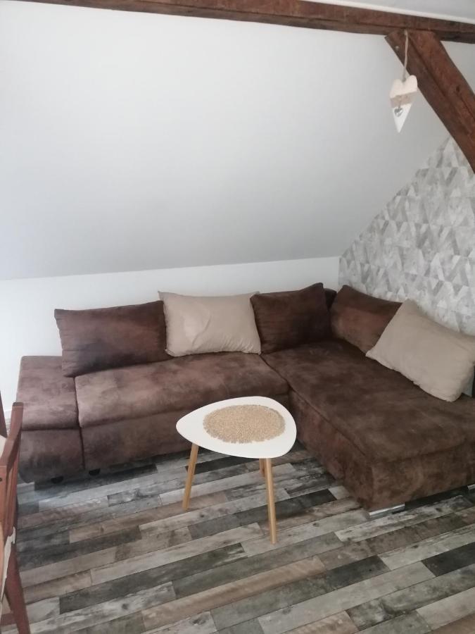 Ferienwohnung IV Sarrebriese Wanzleben-Borde Εξωτερικό φωτογραφία